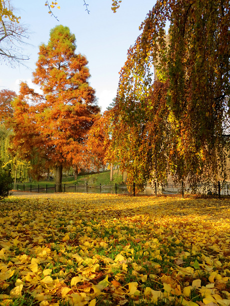 Herfst