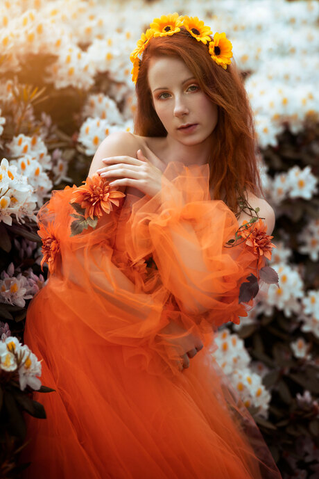 Orange flower portrait