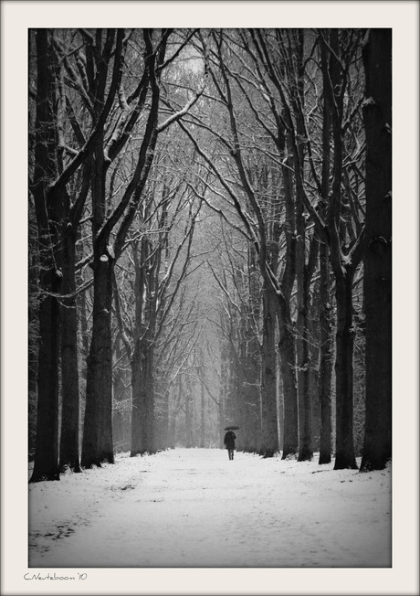 Winterwalk