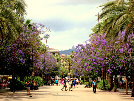 Rambla del Raval, Barcelona