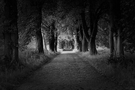 Op weg naar jachtslot Granitz (ZW)