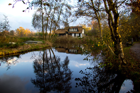 House in the woods