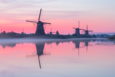 Reflection perfection on a misty pink morning