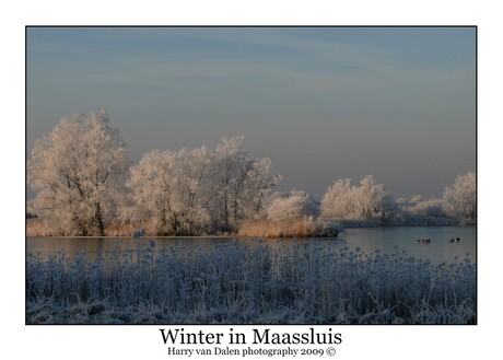 Winter in Maassluis