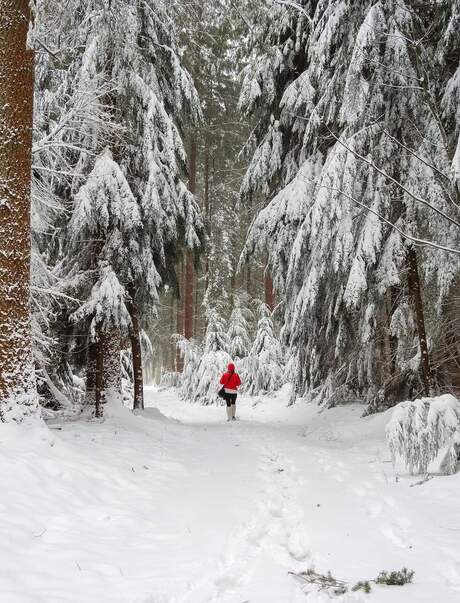 Roodkapje in winterwonderland