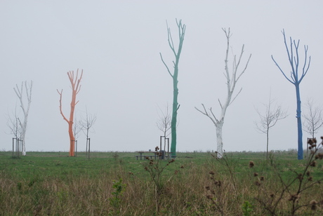 Gekleurd in de mist