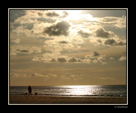 Zomer in Zeeland