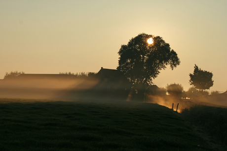 Gouden mistbank