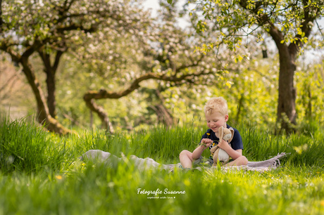 In de boomgaard