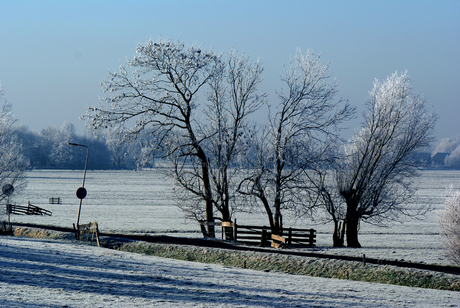 Winter landschap