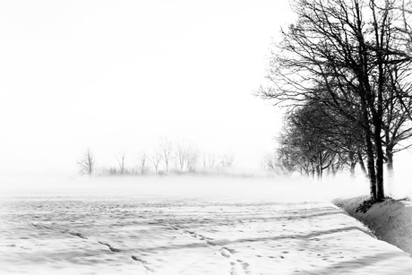 Shadows in the snow