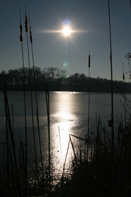 Ice!