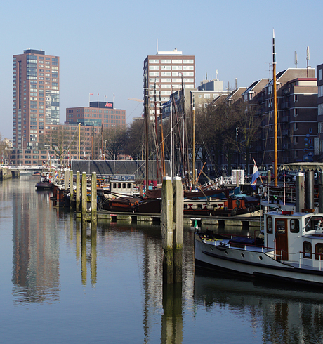 Rotterdams Landschap