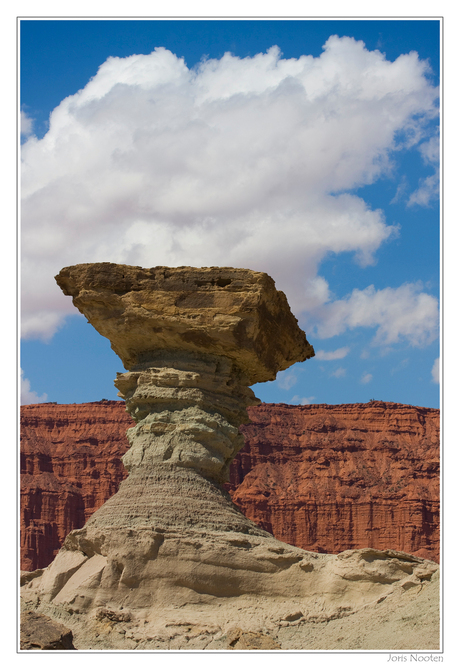 Ischigualasto NP detail