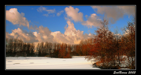 Haarlemmermeerse bos 3