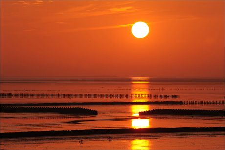 de waddenzee