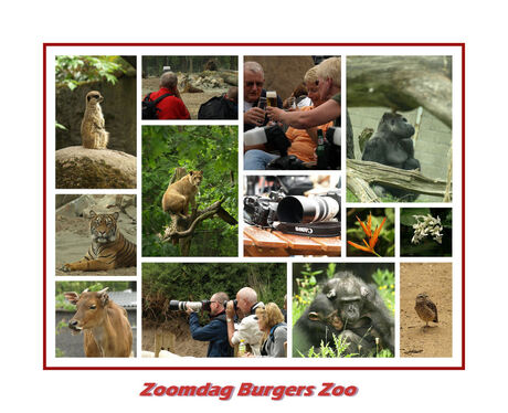 Zoomdag Burgers Zoo