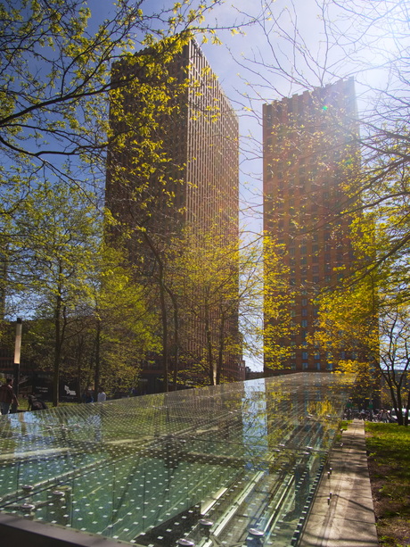 Zuidas 3