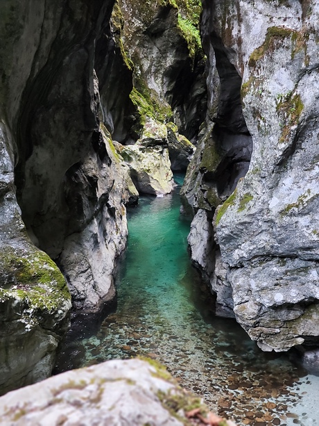 Tolmin kloof