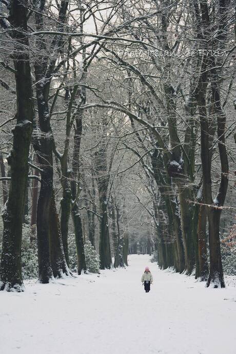 Klein meisje op besneeuwde bospad