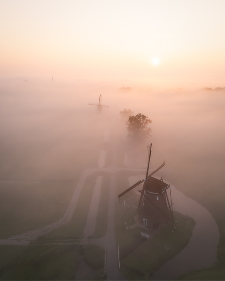 Dutch countryside