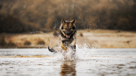 Splish Splash!!!