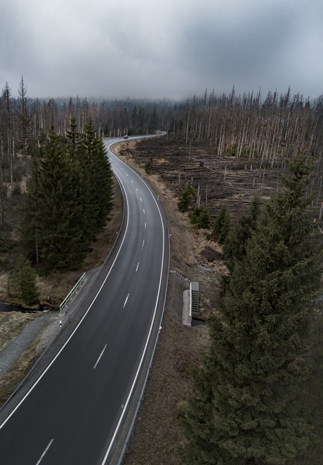 The road ahead