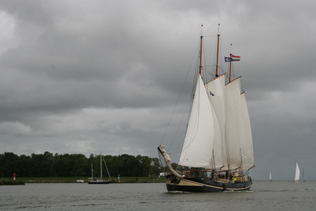 Het IJsselmeer.