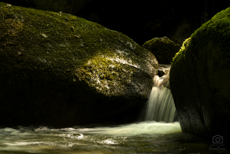 Mystiek in natuur