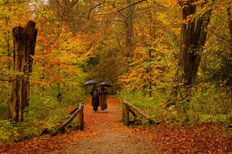 Het weer in één beeld