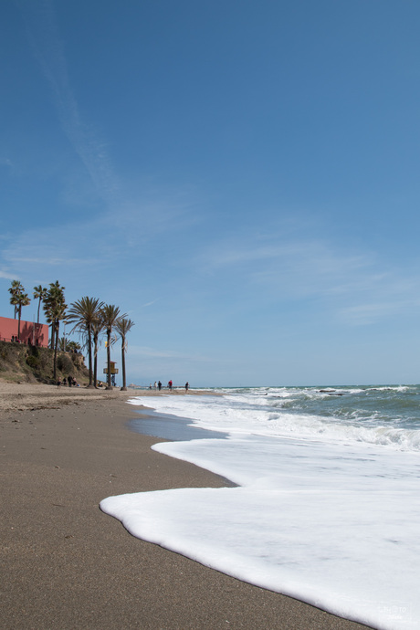 Zon, zee, strand en palmbomen