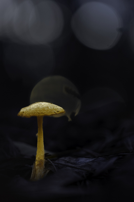 Warme en koude kleuren