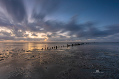 Stilte en beweging op het uitgestrekte wad