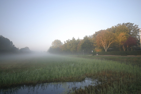 Wegtrekkende mist