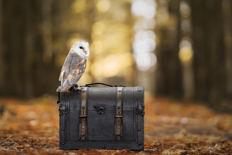 Waiting for the train to Hogwarts