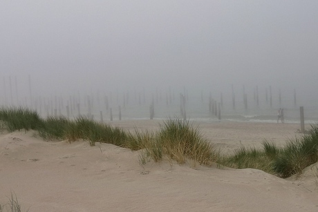 Palendorp Petten (NH) in the mist