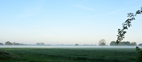 morgen view 1