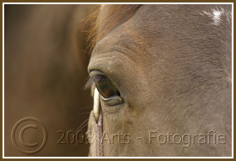 Riobamba "close- up"