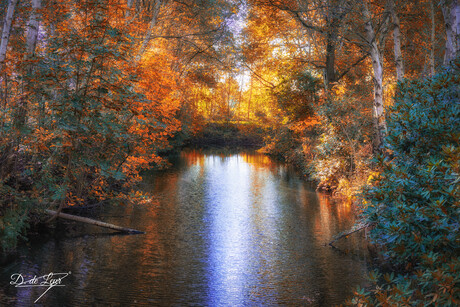 Betoverend herfstlandschap