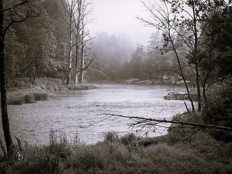 landschap