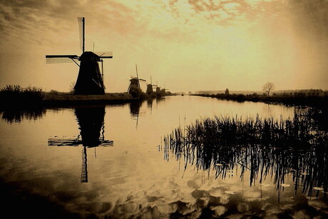 Kinderdijk