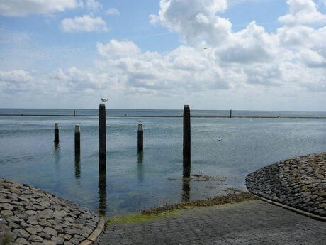 haven van West Terschelling