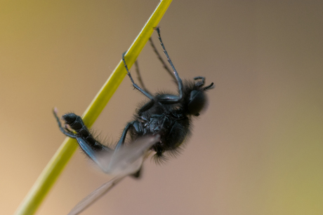 waiting for the sunrise