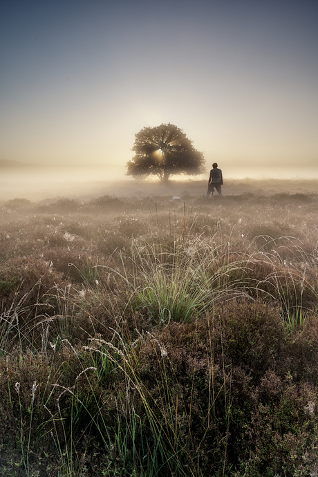 wachten op het licht