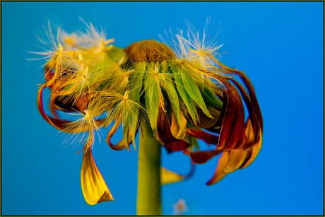 even wat anders.............................