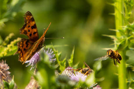 Op zijn beurt wachten