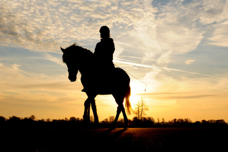 spelen met de zon