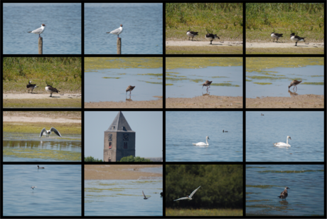 Vreugderijkerwaard schoten