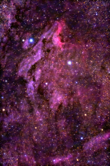 IC 5070 Pelikaannevel