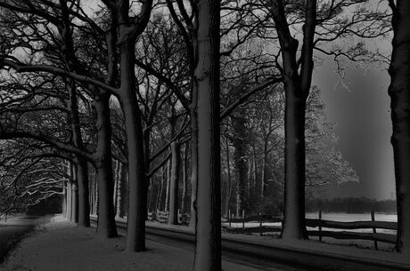 Laan van Duivenvoorde in de schemering